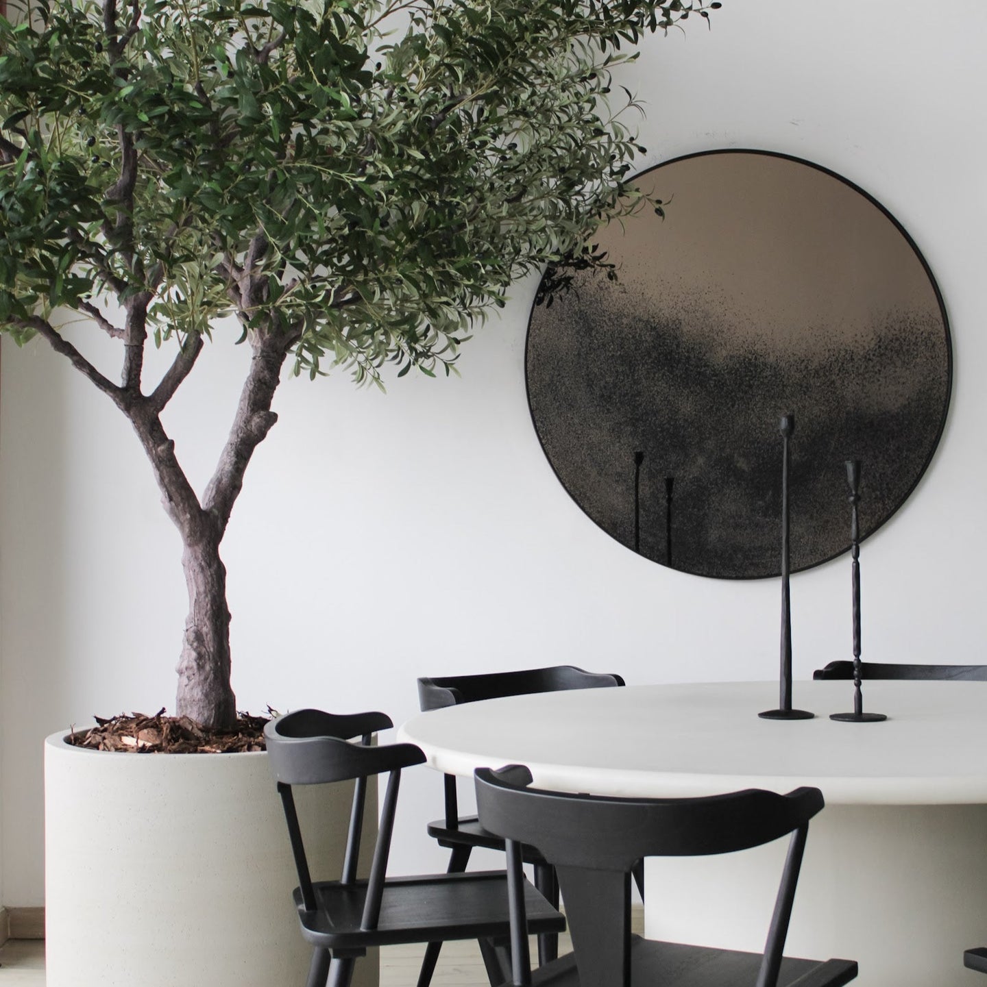 Árbol de Olivo, Jumbo (3.00m) - Kokoa Home