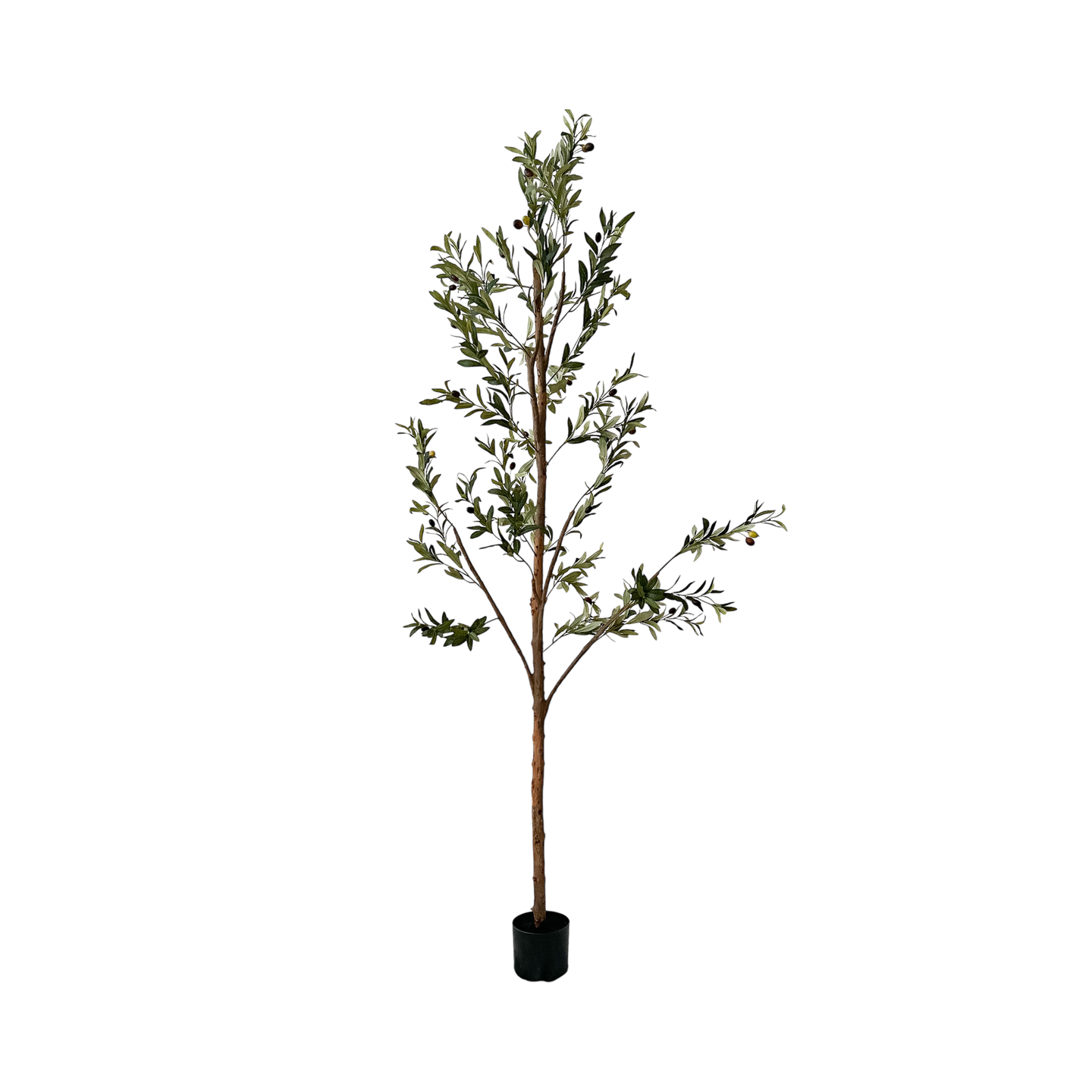 Árbol de Eucalipto (1.85m) - Kokoa Home