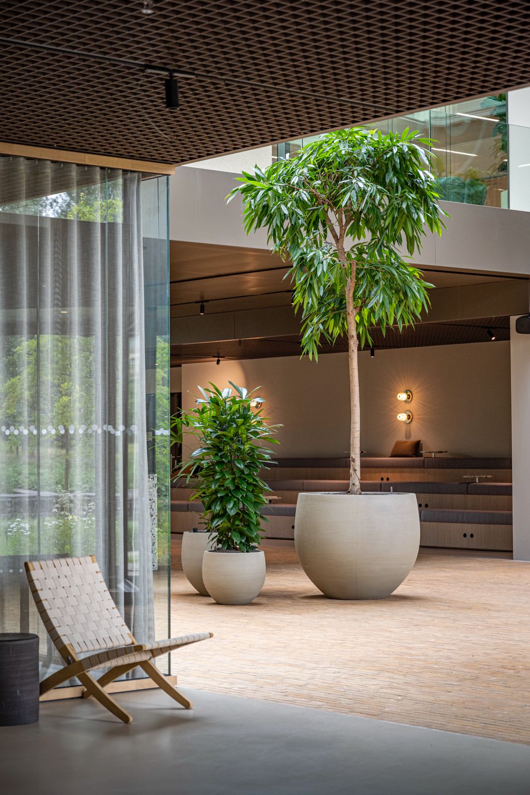 Maceta Orbe - Kokoa Home