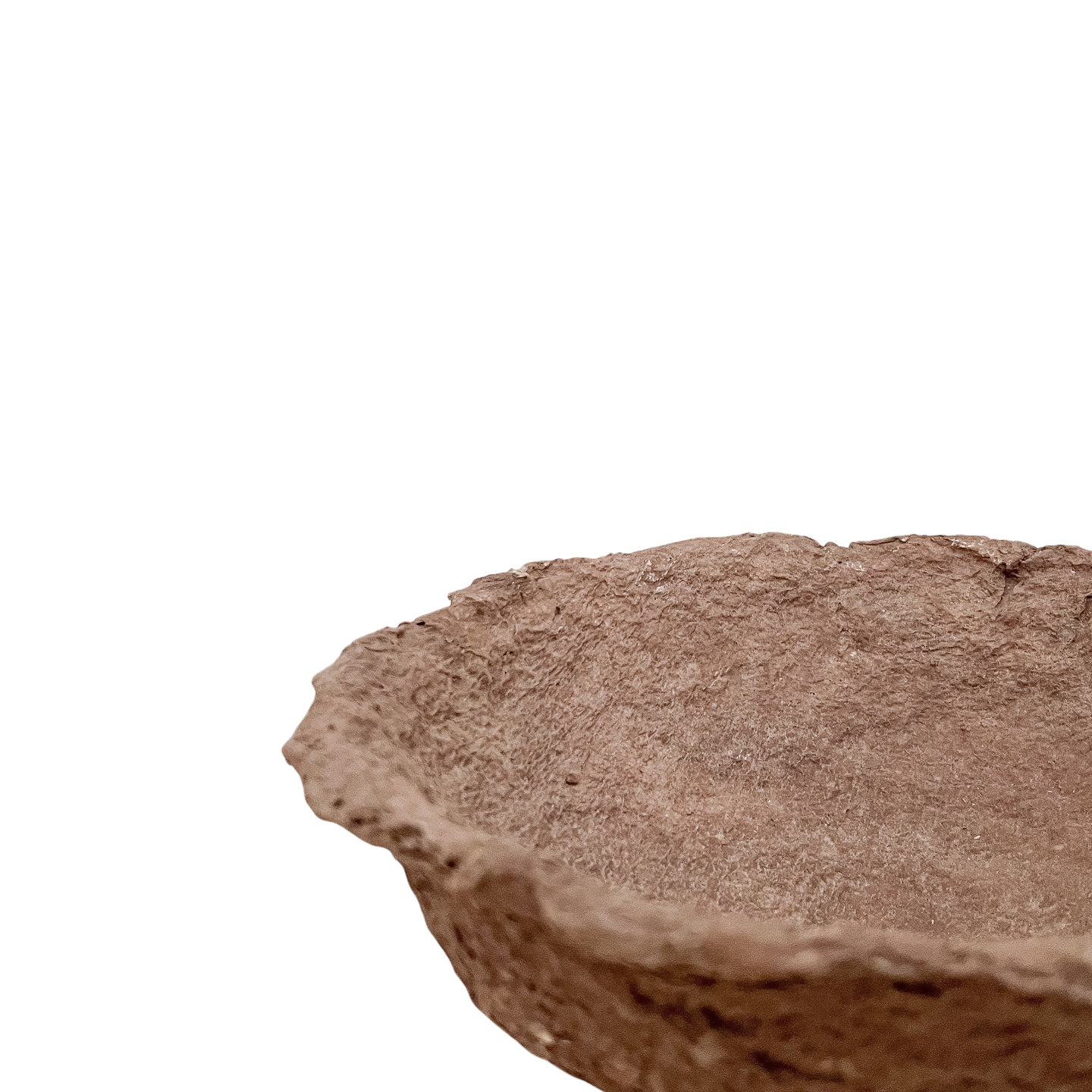 Bowl de Papel Colores - Kokoa Home