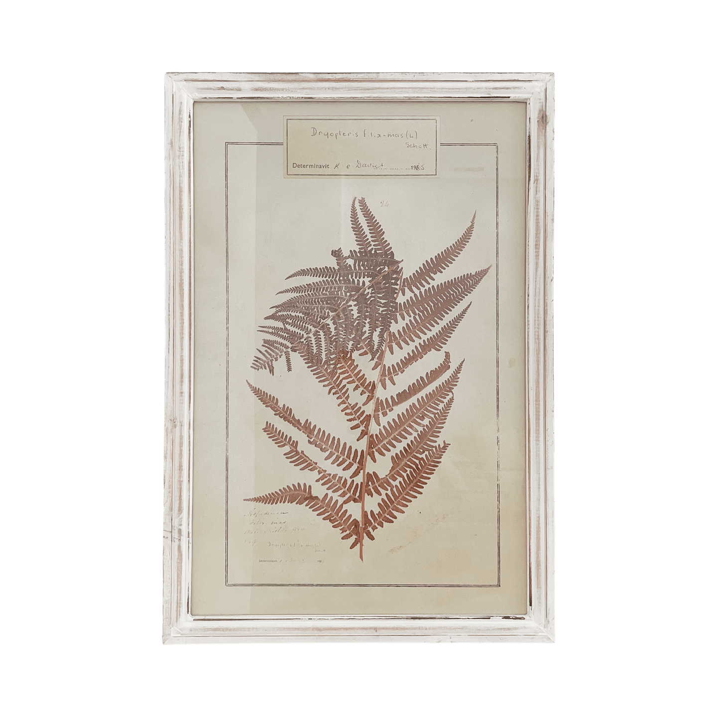 Cuadro Otoño Sereno - Kokoa Home