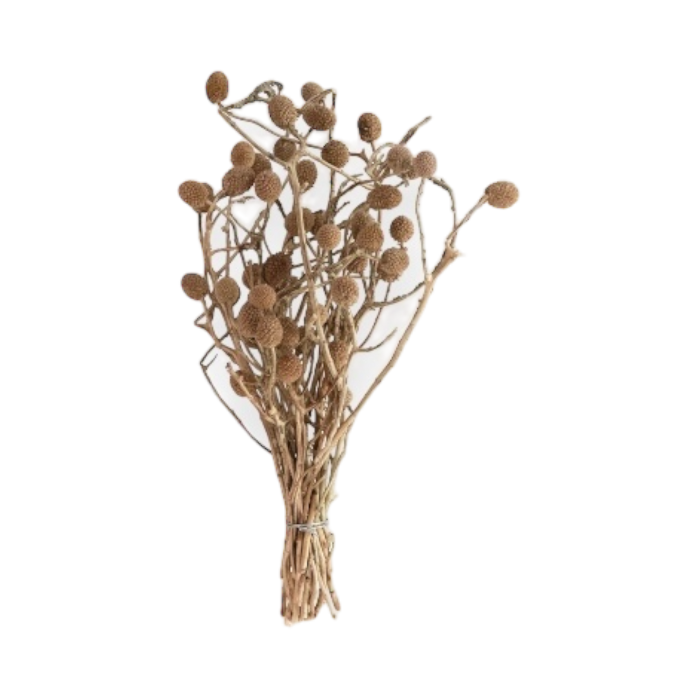 Ramo con Borlas - Kokoa Home