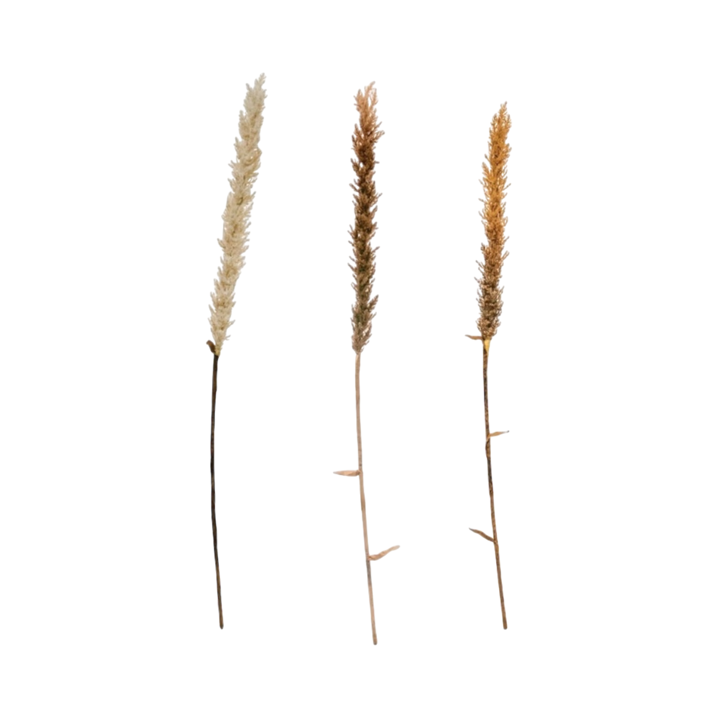 Pampa Pequeña - Kokoa Home