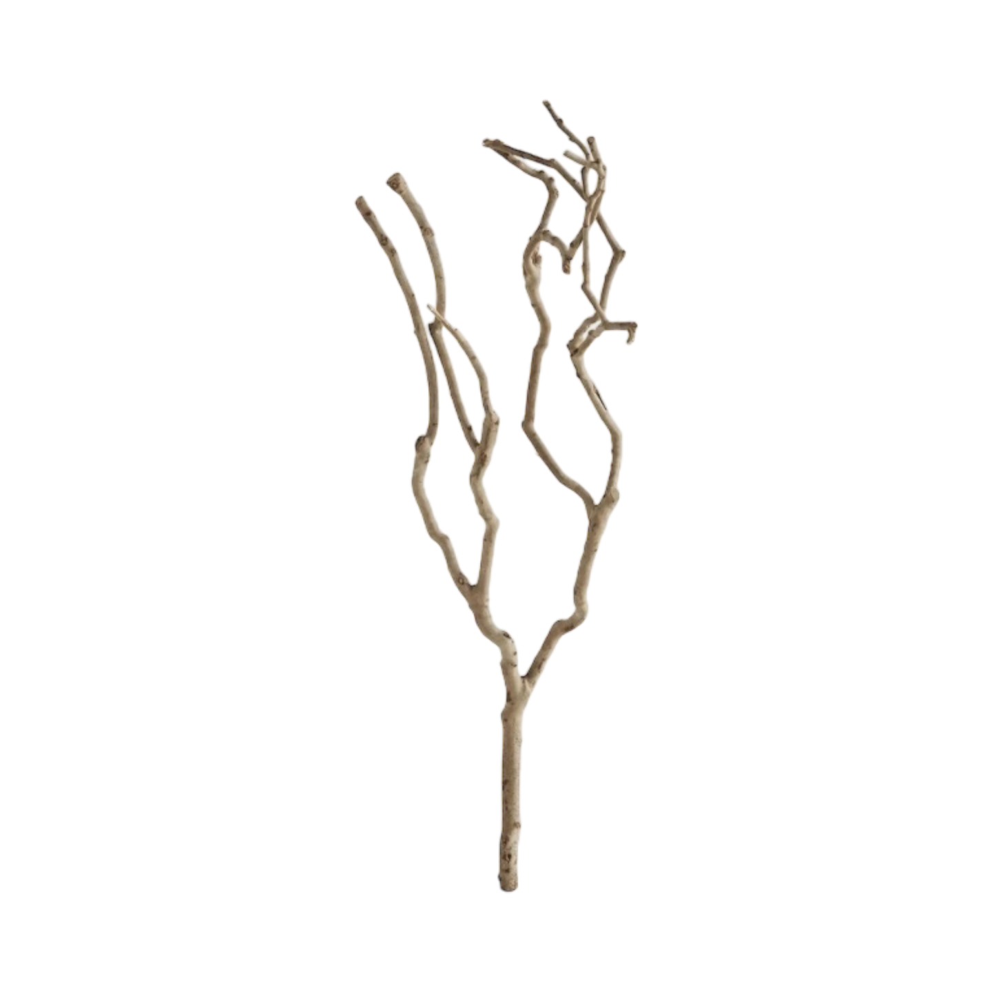 Rama de Árbol - Kokoa Home