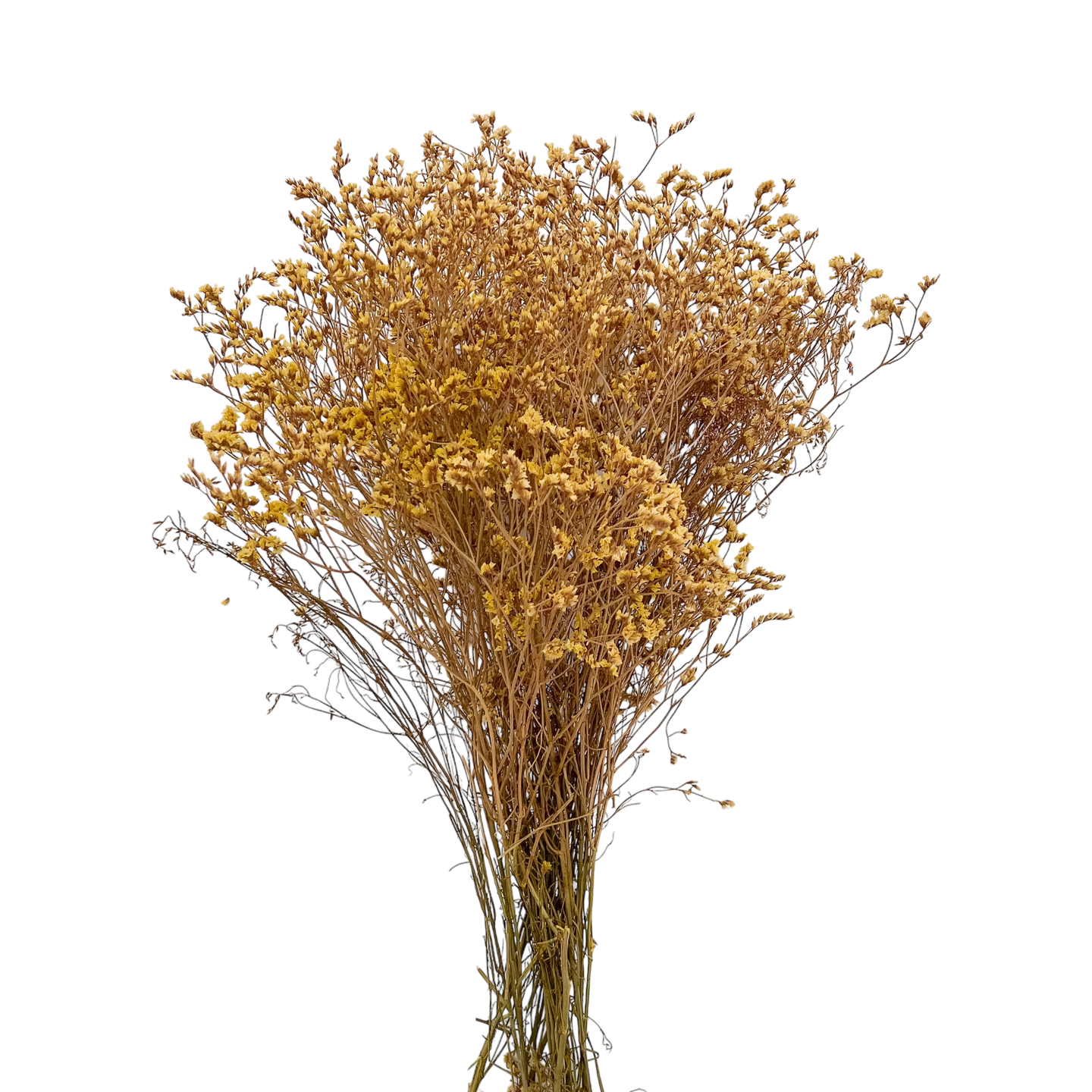 Racimo de Fresillas - Kokoa Home