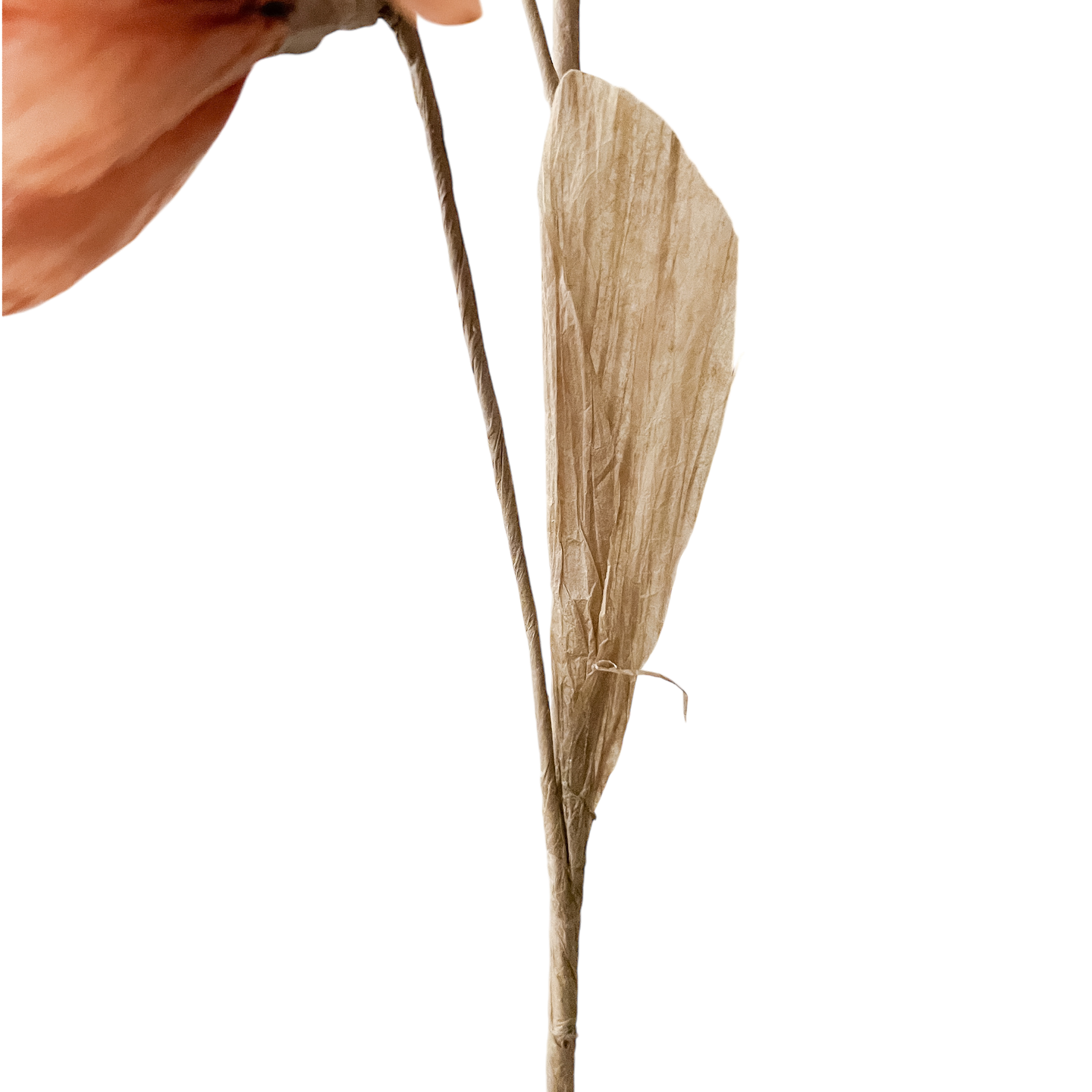 Crisantemos Ocre - Kokoa Home