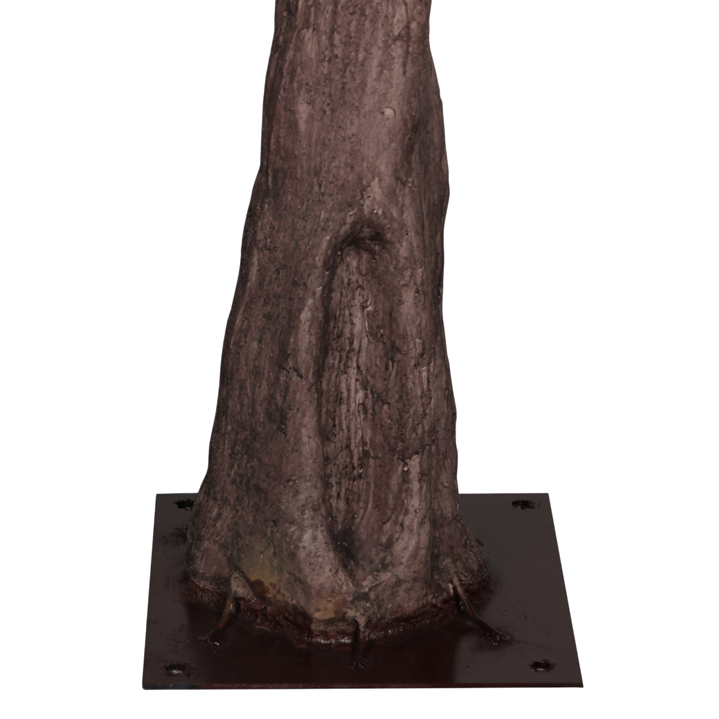 Árbol de Olivo, Jumbo (3.00m) - Kokoa Home