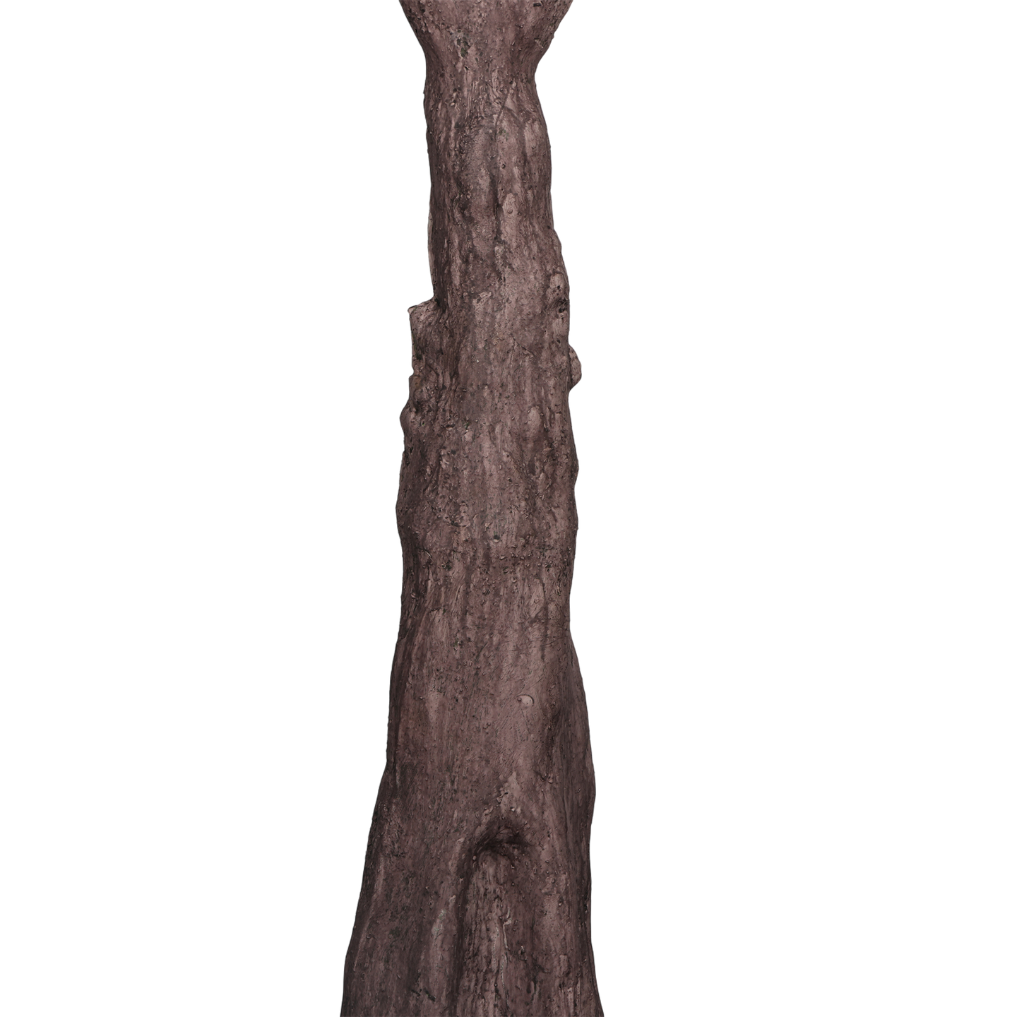 Árbol de Olivo, Jumbo (3.00m) - Kokoa Home