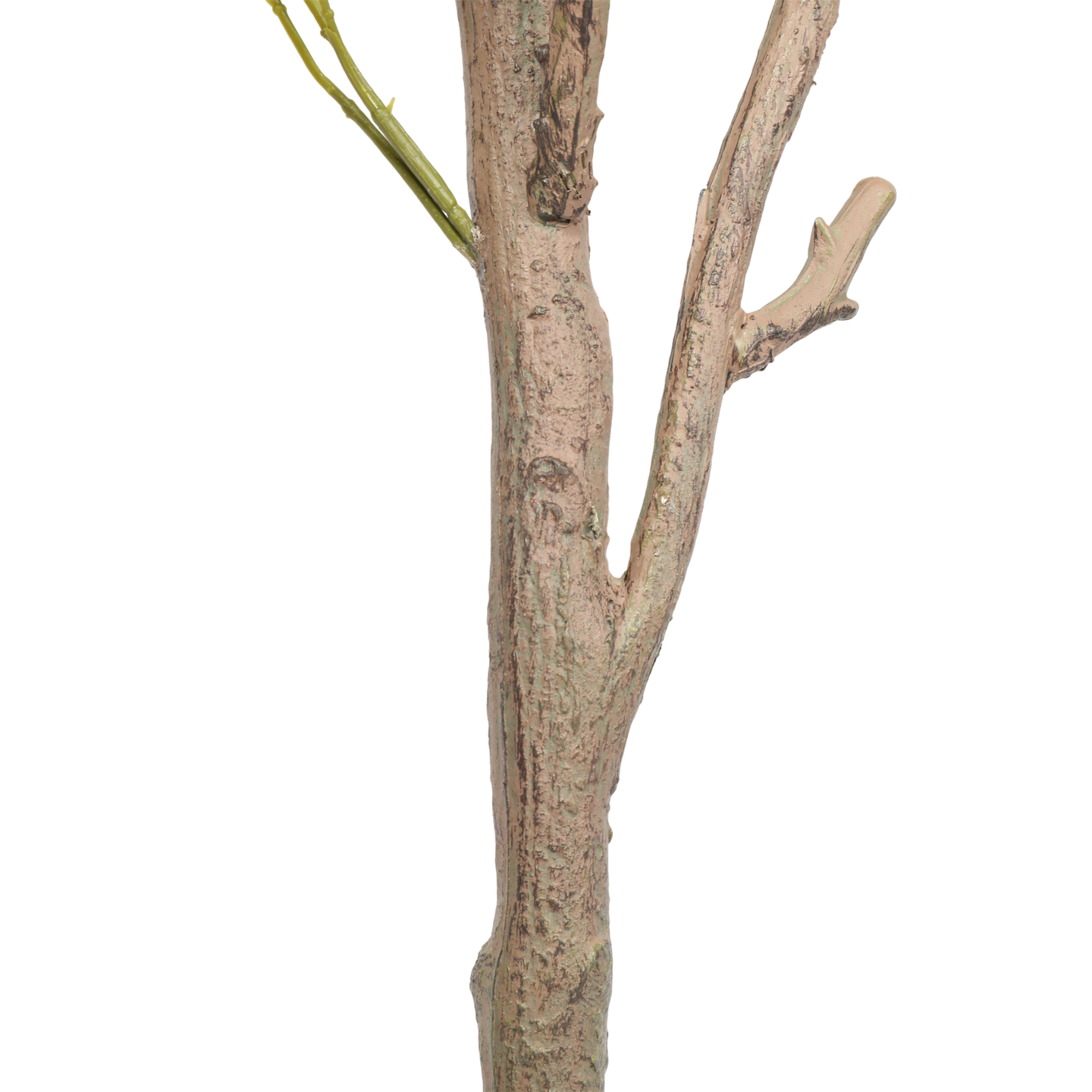 Árbol de Eucalipto, Grande (1.85m) - Kokoa Home