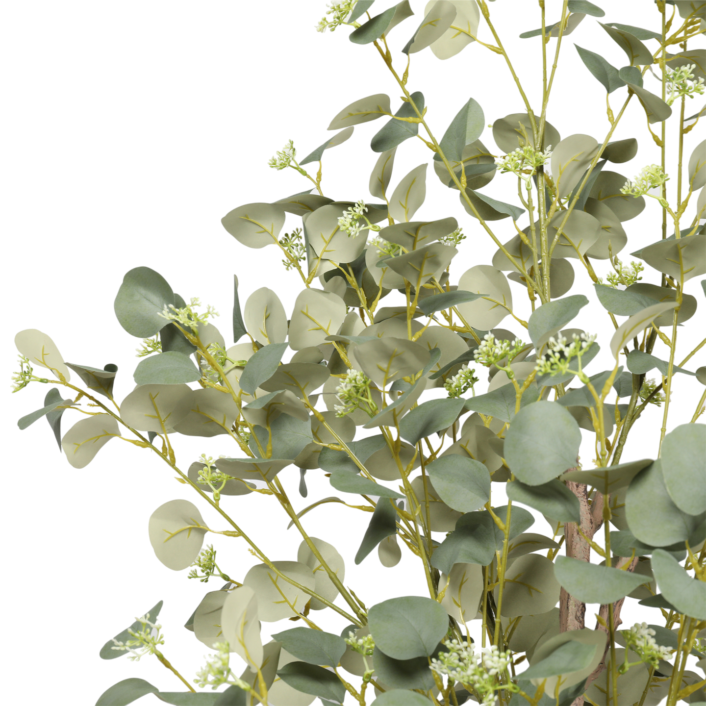 Árbol de Eucalipto, Grande (1.85m) - Kokoa Home