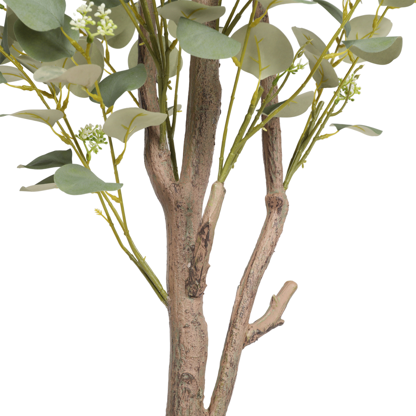 Árbol de Eucalipto, Grande (1.85m) - Kokoa Home