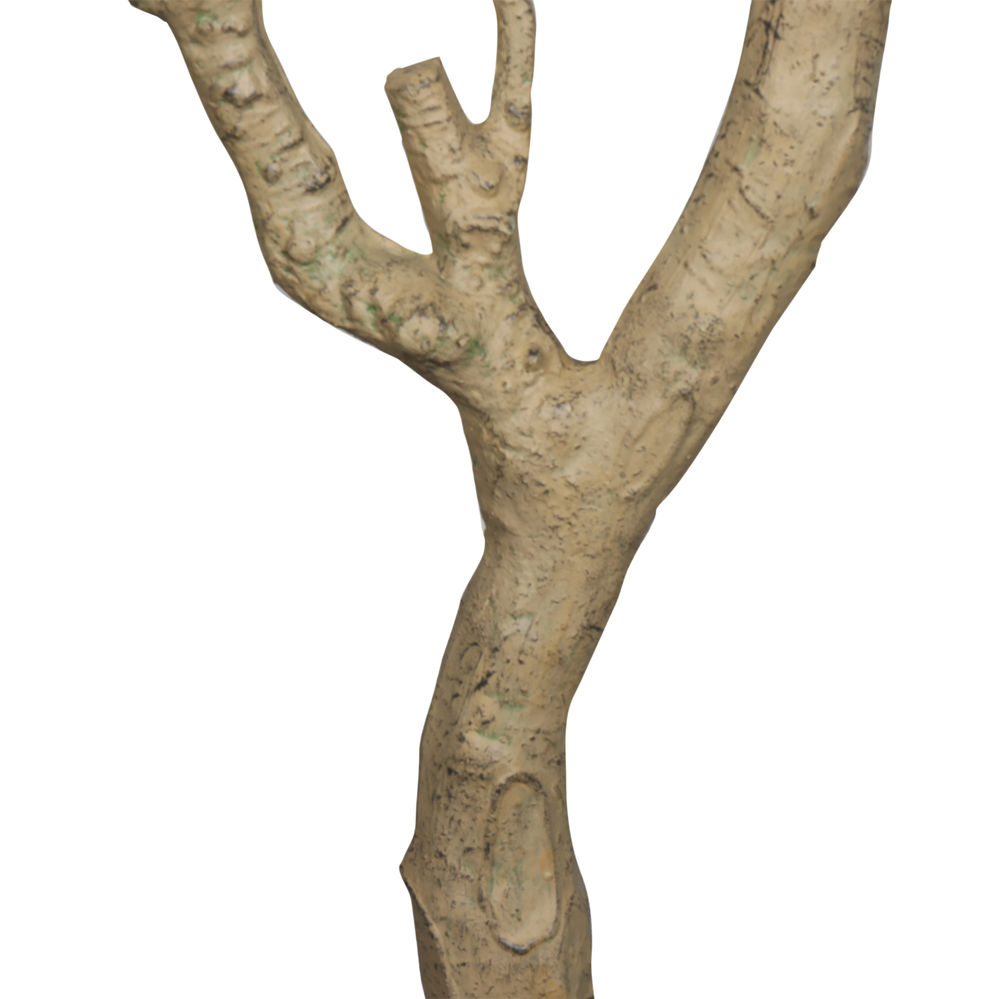 Árbol de Olivo, Grande (2.40m) - Kokoa Home