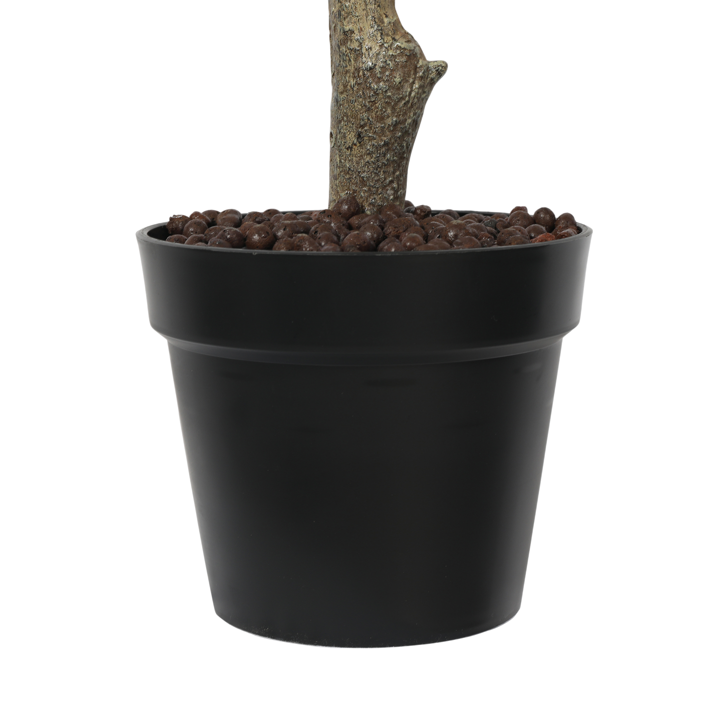 Árbol de Olivo, Mediano (1.80m) - Kokoa Home