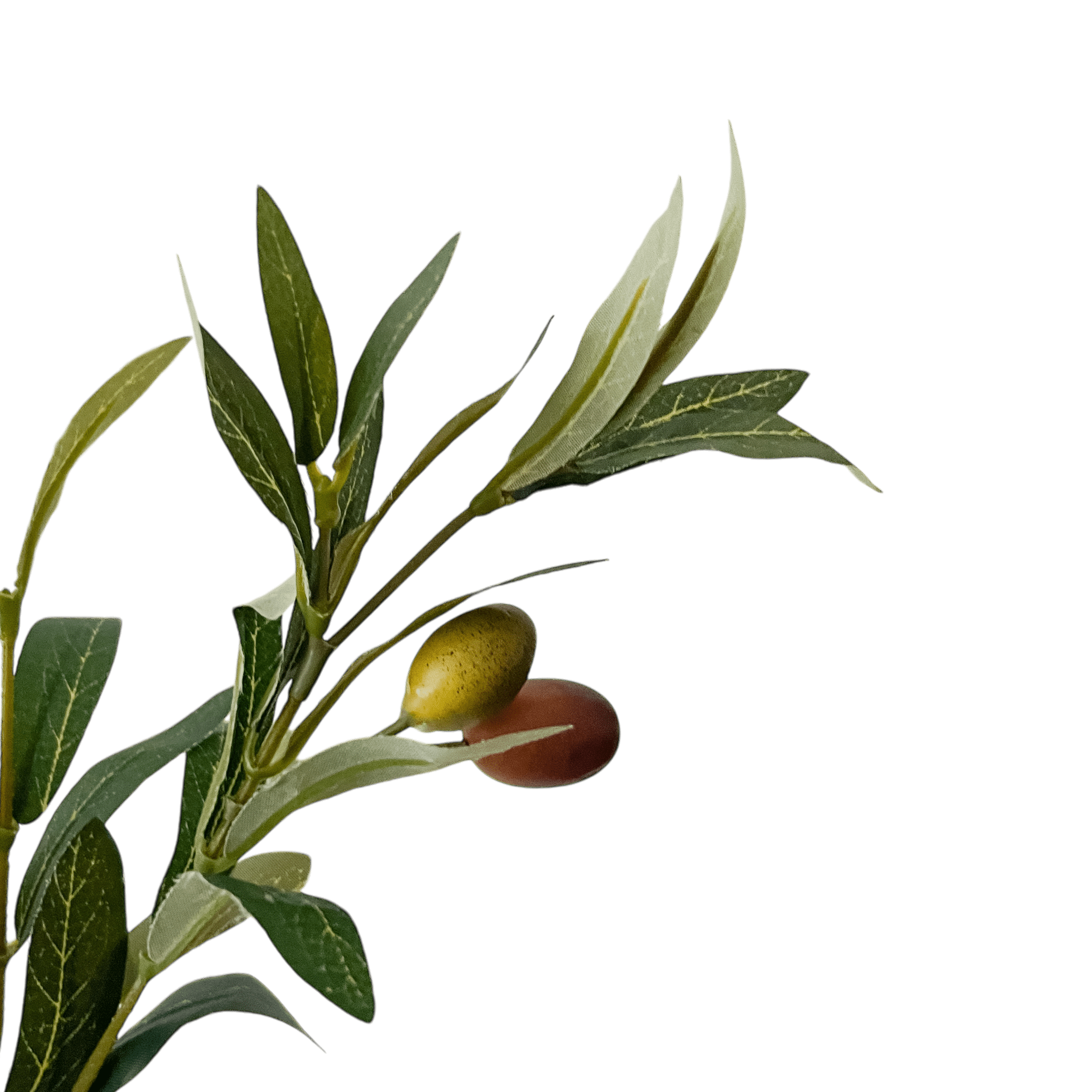 Maceta Orbe | Kokoa Home