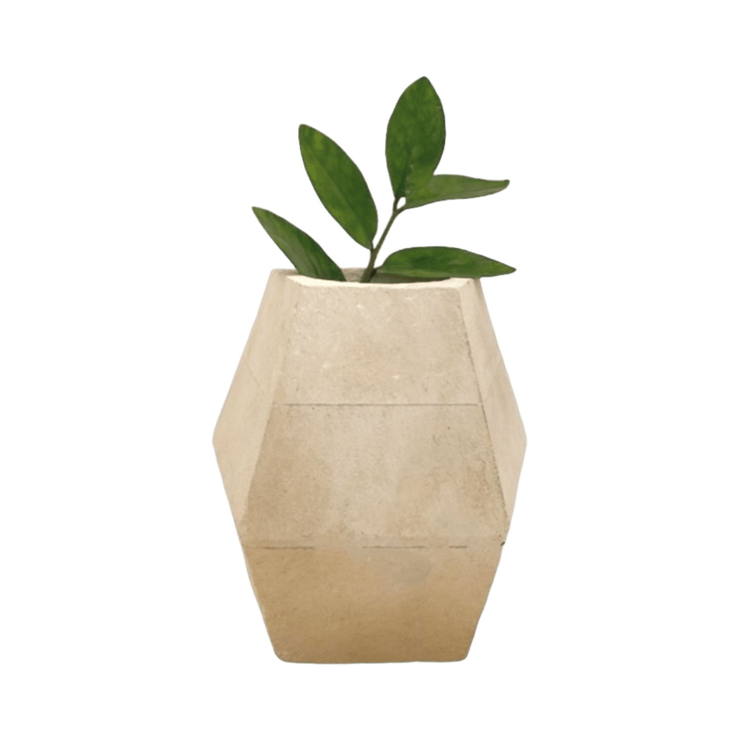 Maceta de Ocho Caras - Kokoa Home