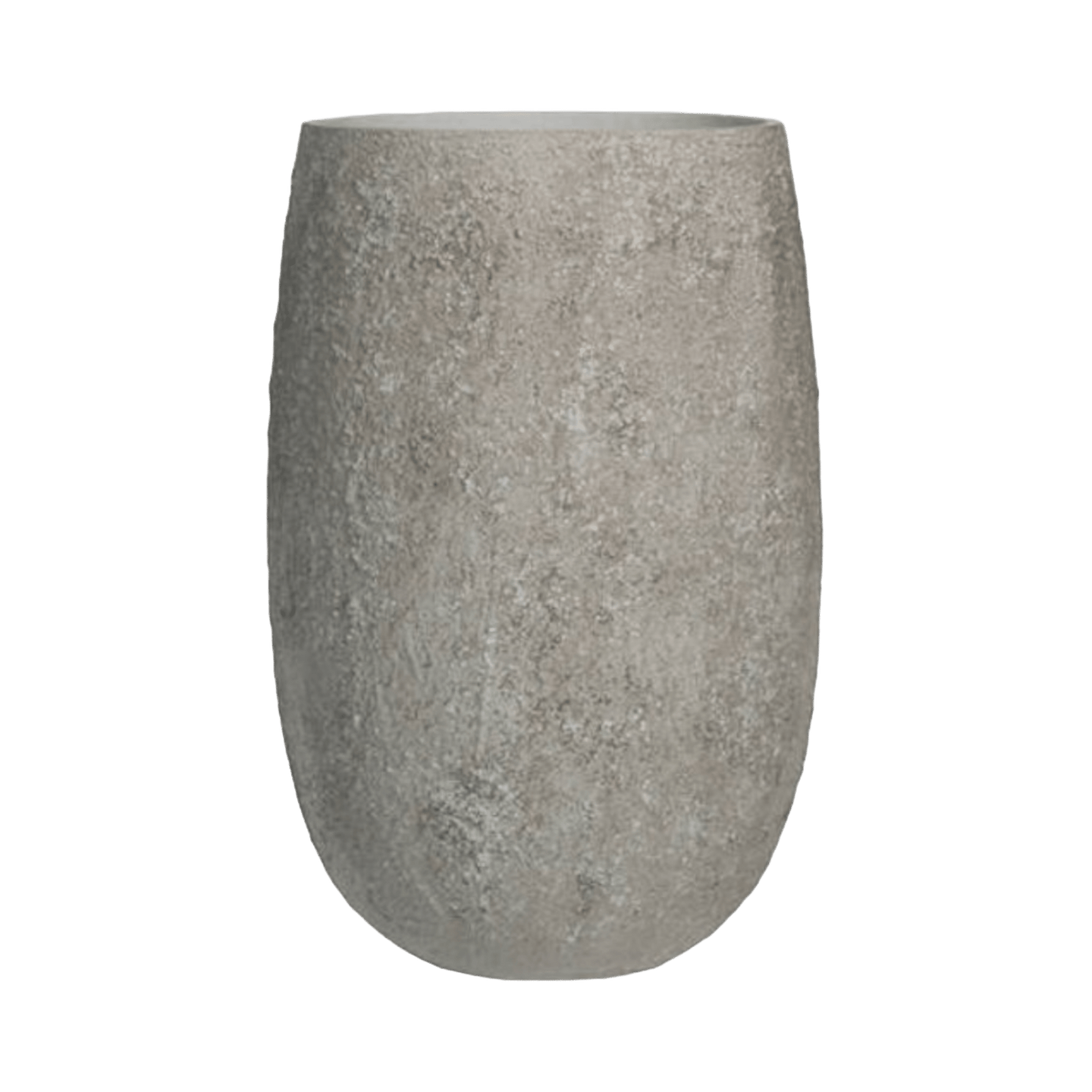 Maceta Alocasia - Kokoa Home